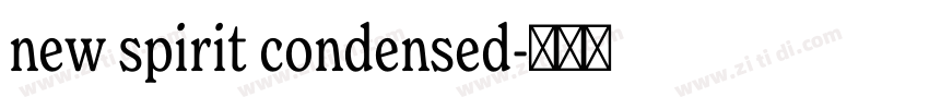 new spirit condensed字体转换 new spirit condensed字体转换